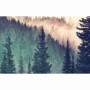 Puzzle Padure, 200 Piese Ravensburger - 2